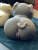 ImportedPhoto.767203325.652512